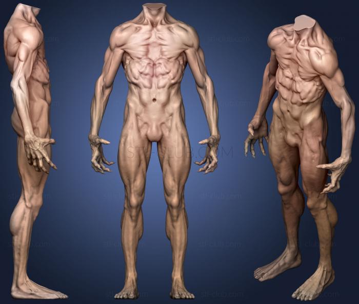 3D model Body Sculpt 8 (STL)